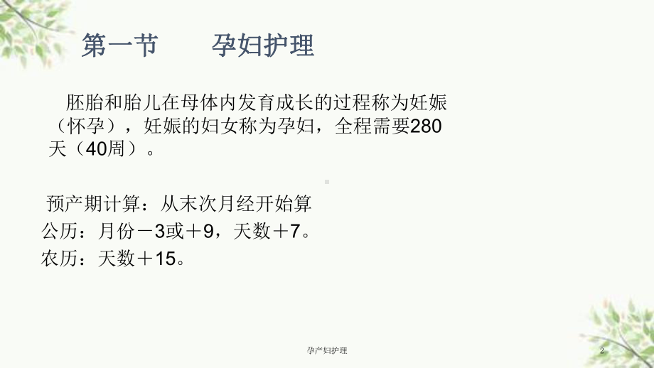 孕产妇护理课件.ppt_第2页