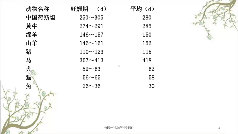 兽医外科及产科学课件.ppt_第3页