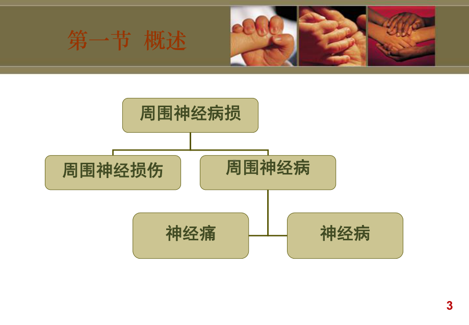 周围神经损伤患者的康复课件.pptx_第3页