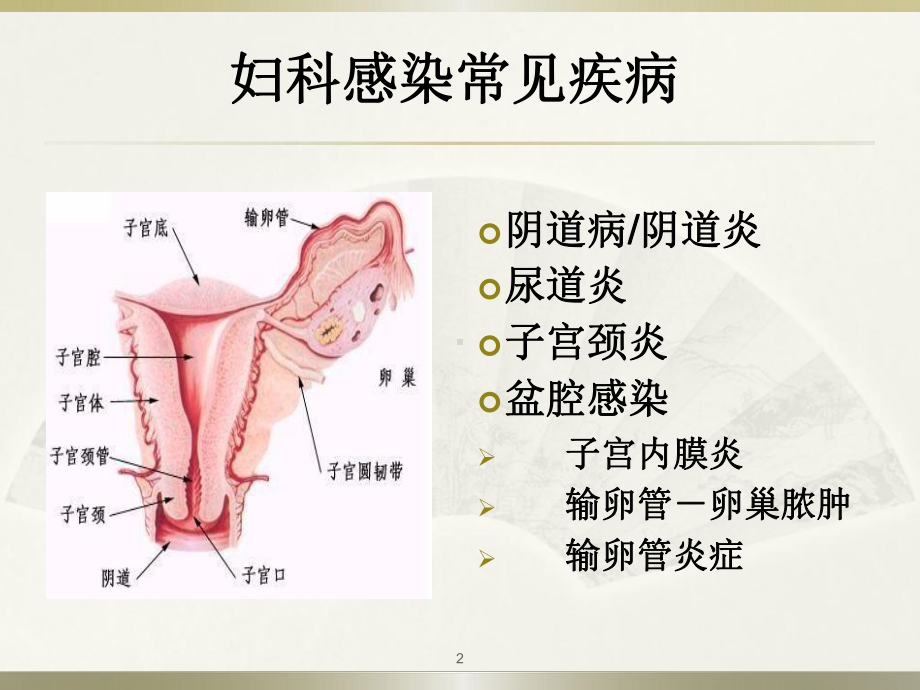 妇科感染常见病原菌及检测方法参考课件.ppt_第2页