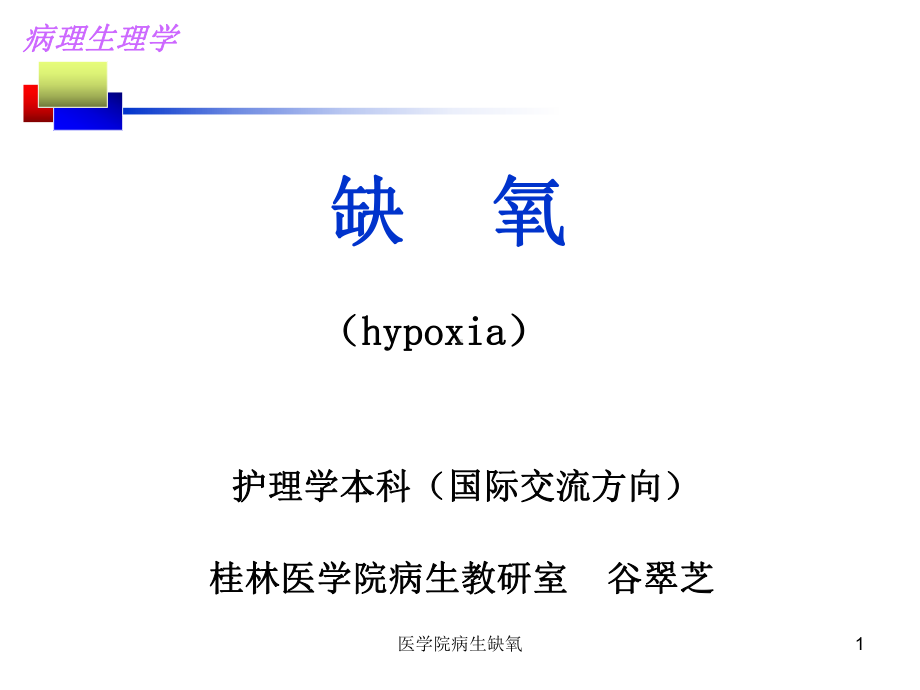 医学院病生缺氧课件.ppt_第1页