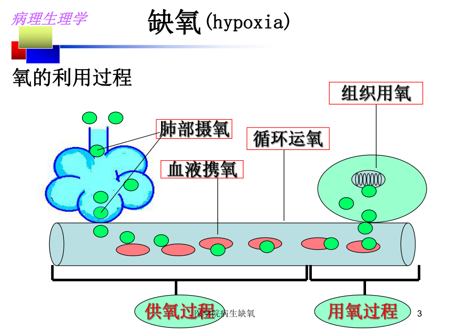 医学院病生缺氧课件.ppt_第3页