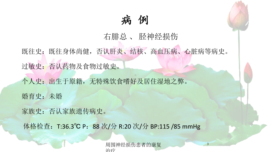 周围神经损伤患者的康复治疗培训课件.ppt_第3页