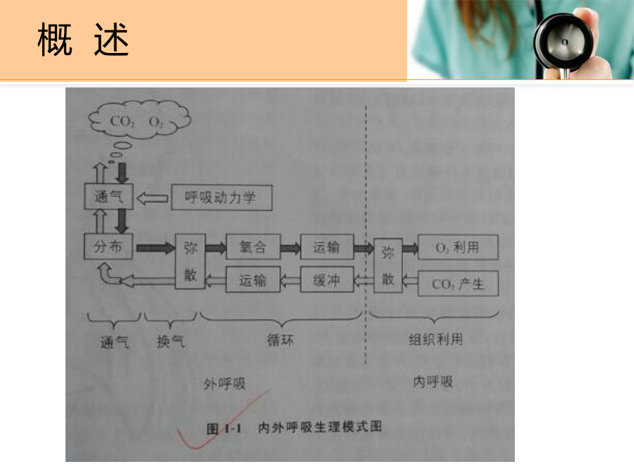 医学儿科给氧疗法培训课件.ppt_第3页