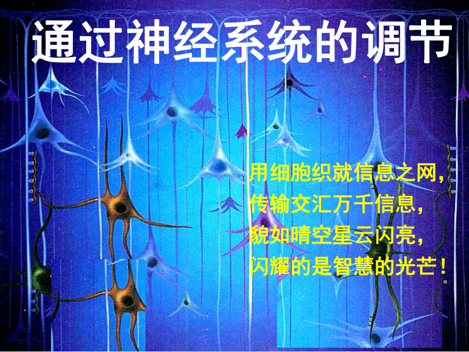 人教版必修3-通过神经系统的调节-课件(45张).ppt_第1页