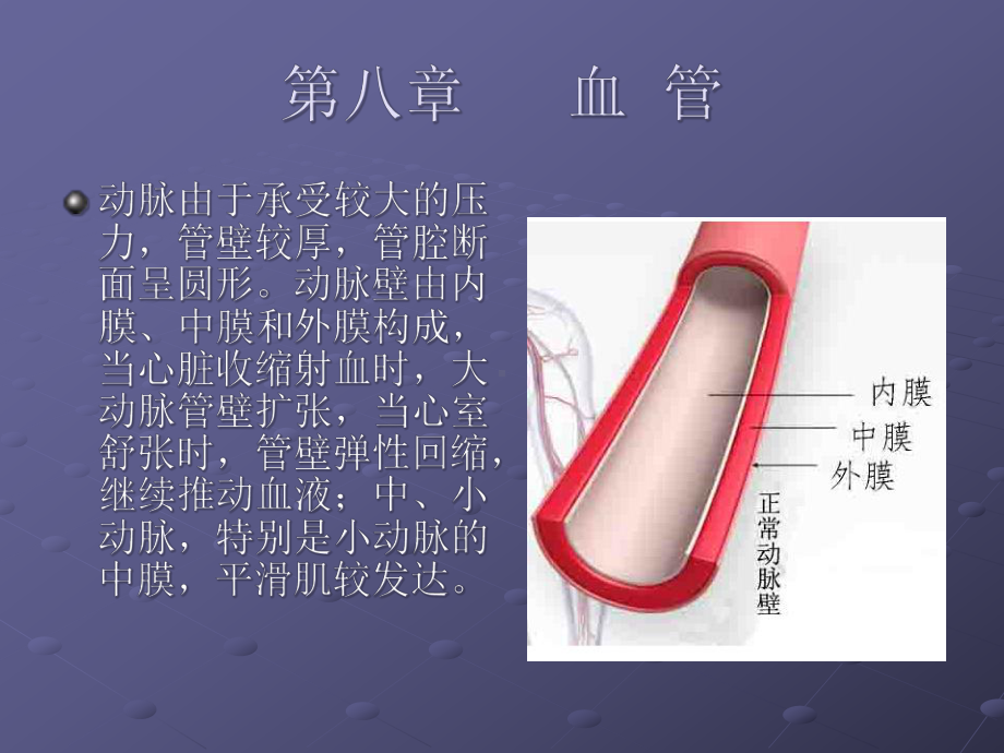 医学课件医疗影像解剖学血管.ppt_第3页