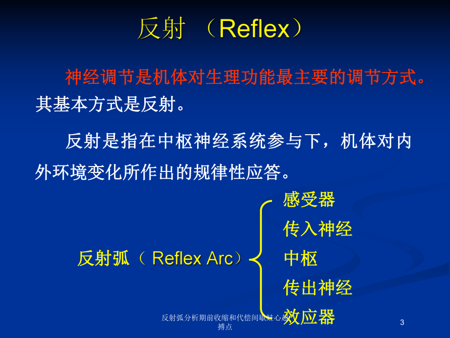 反射弧分析期前收缩和代偿间歇蛙心起搏点培训课件.ppt_第3页