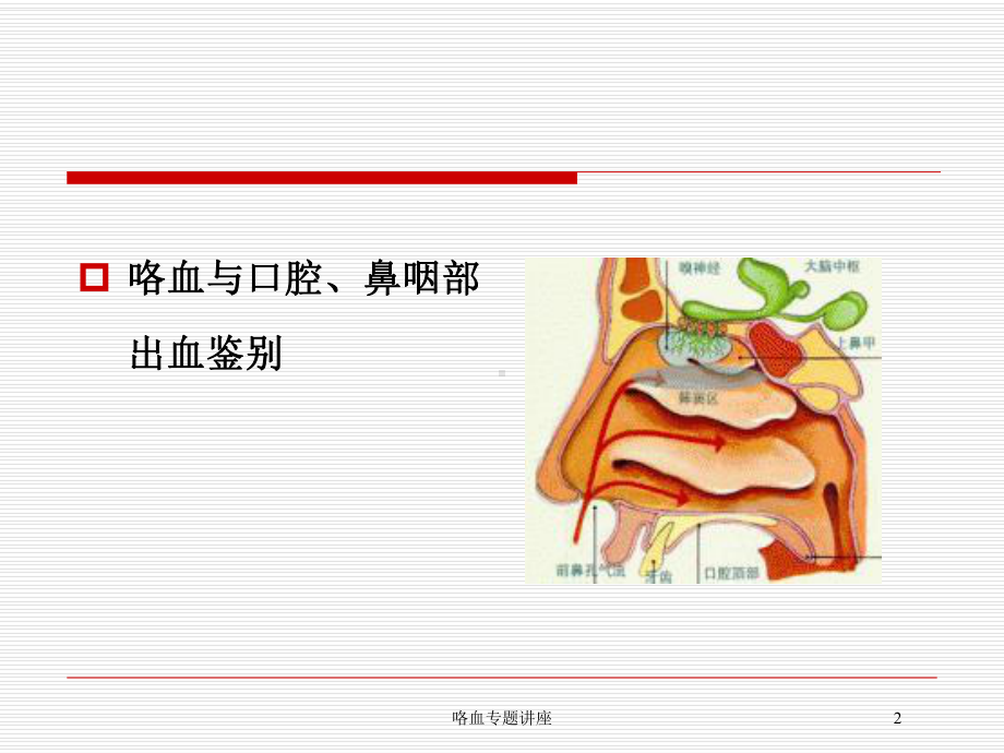 咯血专题讲座培训课件.ppt_第2页