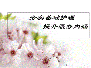 夯实基础护理提升服务内涵学习课件.ppt