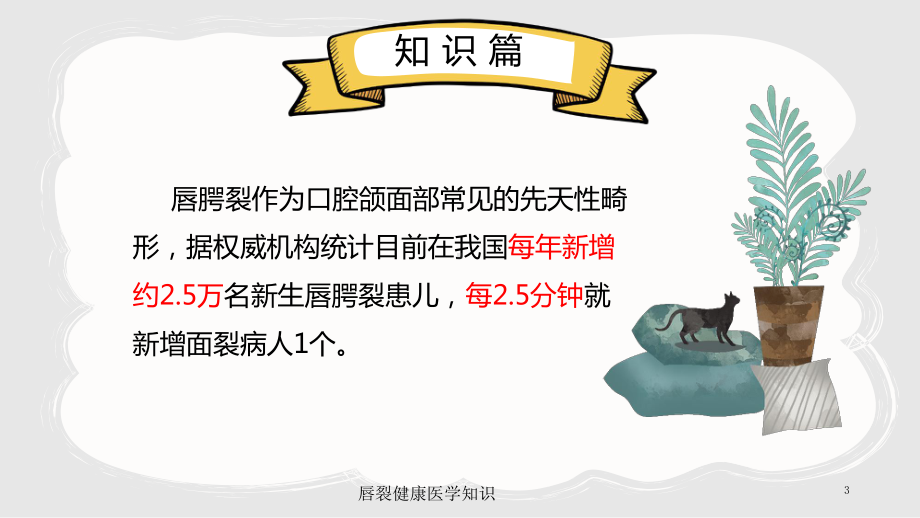 唇裂健康医学知识培训课件.ppt_第3页