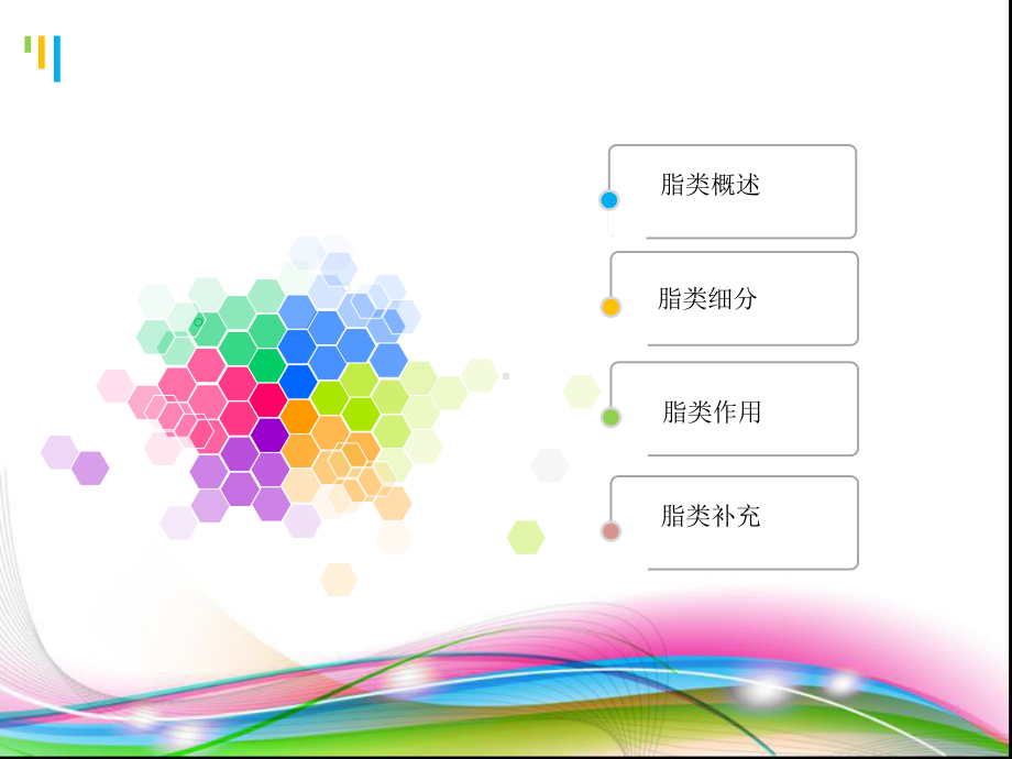 史上最全脂肪与健康课件.ppt_第2页