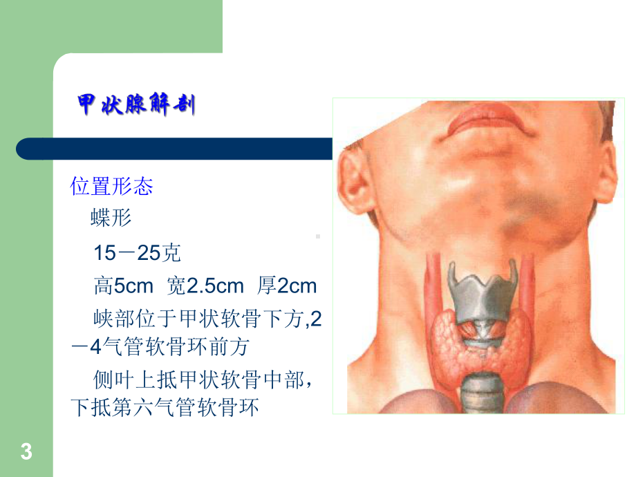 内分泌及代谢疾病课件.ppt_第3页