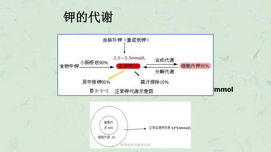 低钾血症的临床诊治课件.ppt_第2页