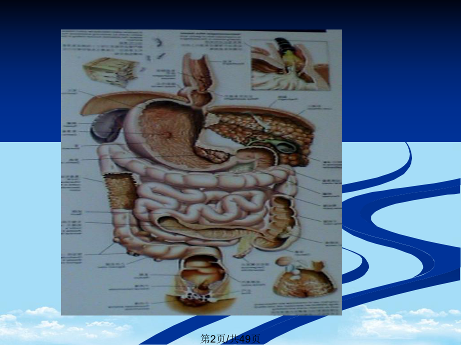 便秘中医全面版课件.pptx_第2页
