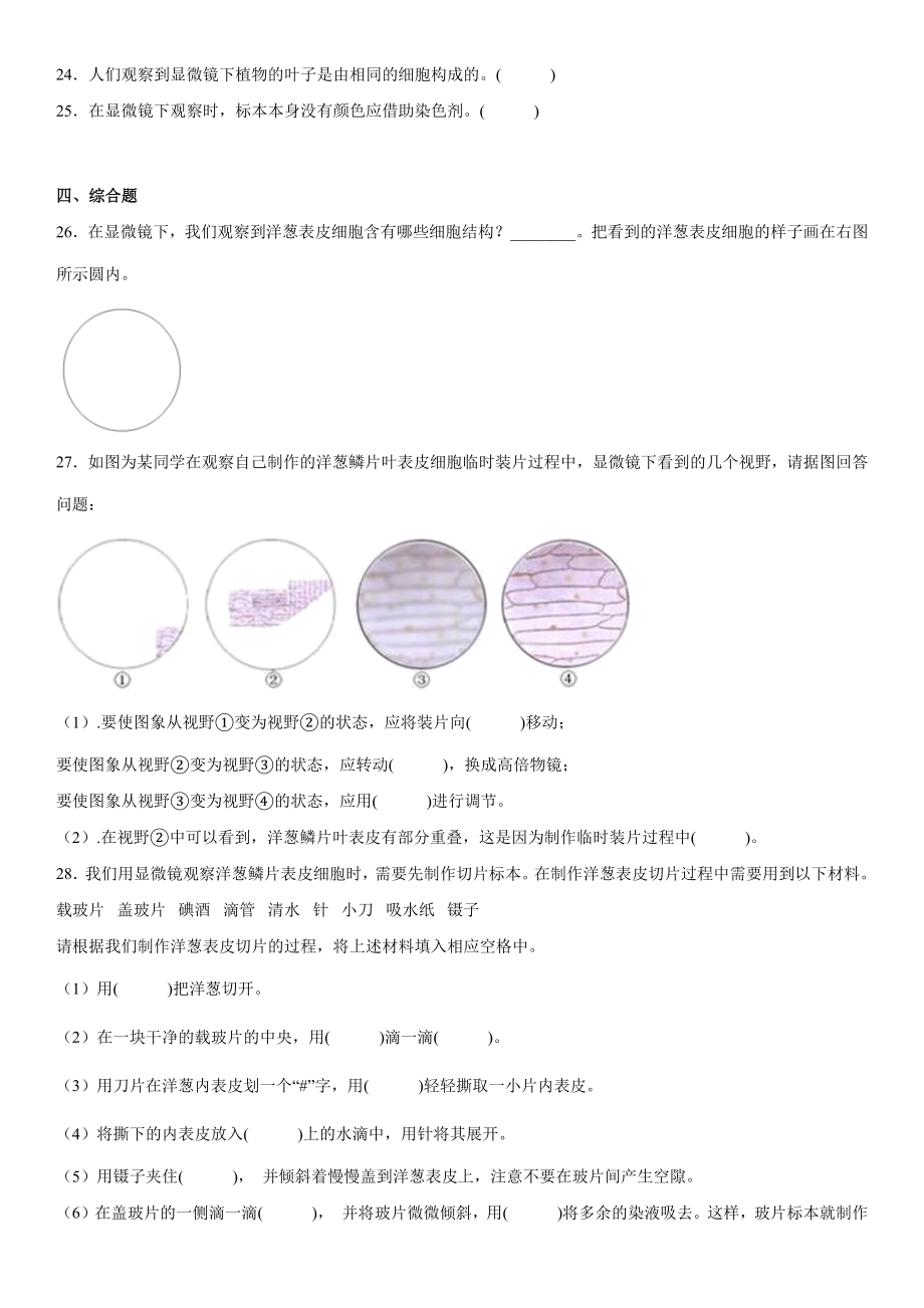 1.4观察洋葱表皮细胞（练习）（含答案）-2022新教科版六年级上册《科学》.docx_第3页