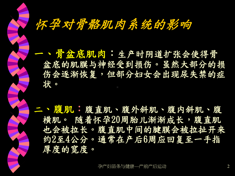 孕产妇苗条与健康—产前产后运动课件.ppt_第2页