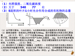 光合作用和呼吸作用专题之氧气和二氧化碳浓度变化教材课件.ppt