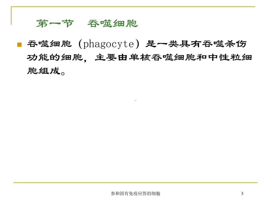 参和固有免疫应答的细胞培训课件.ppt_第3页