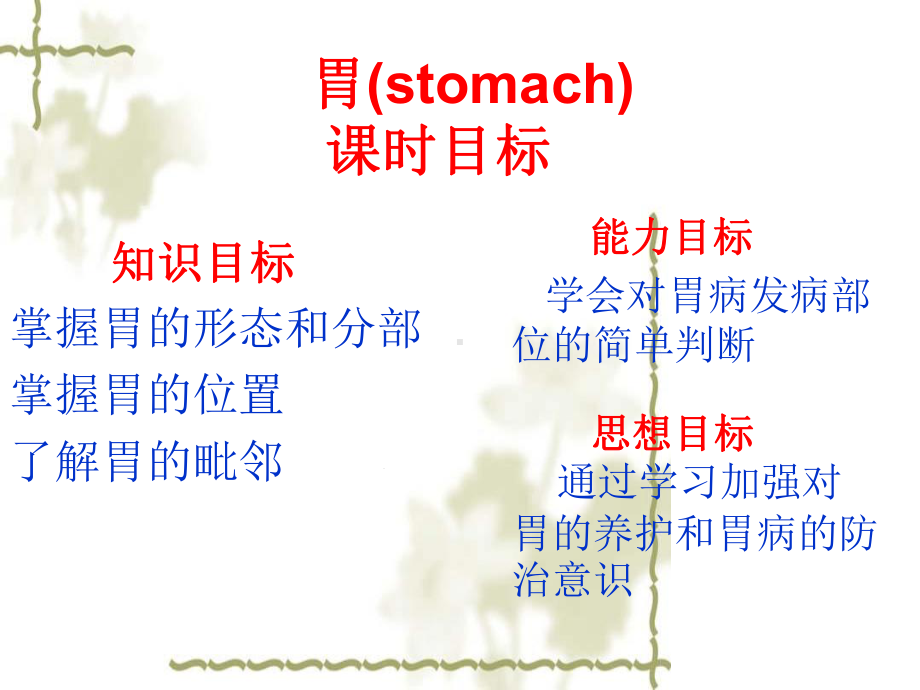 医学课件胃的解剖与功能.ppt_第3页