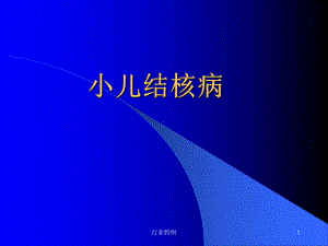 小儿结核病[业界研究]课件.ppt