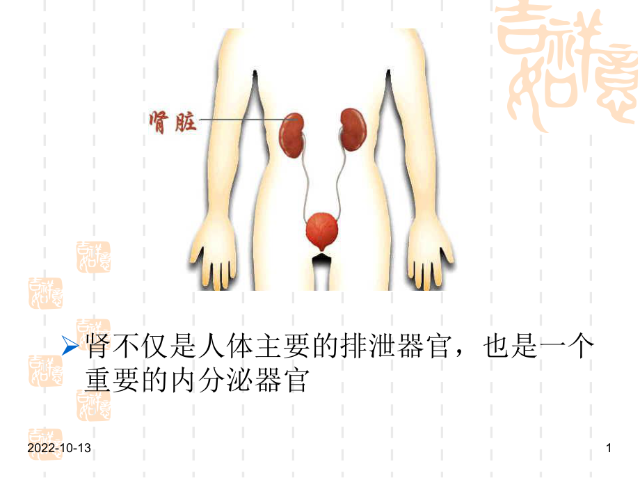 医学课件肾小球疾病专业知识讲座.ppt_第1页