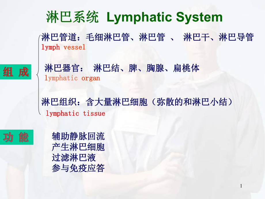 人体淋巴系统医学课件.ppt_第1页