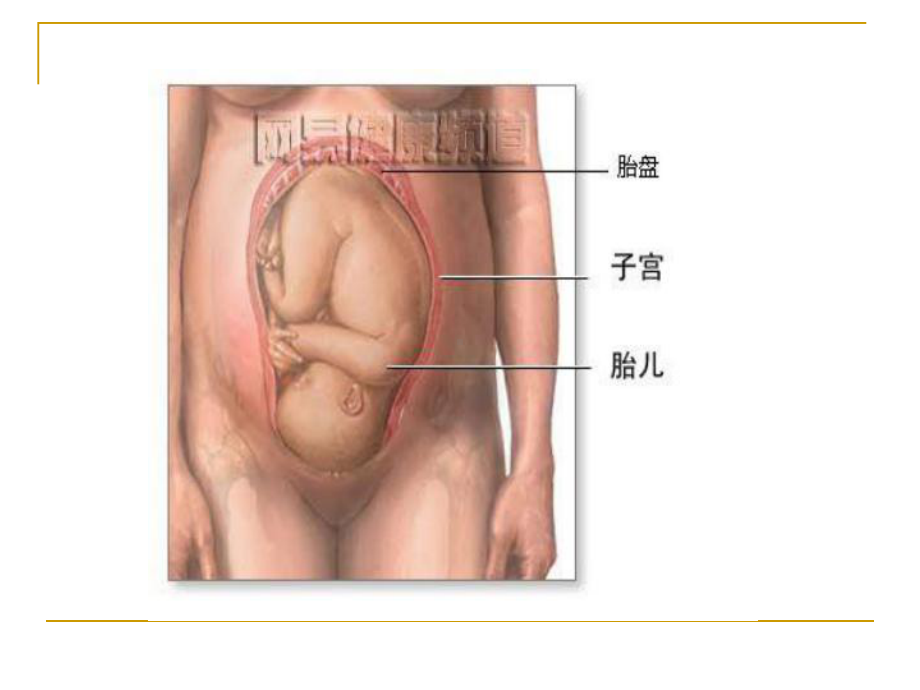 孕妇快乐分娩课件.pptx_第3页