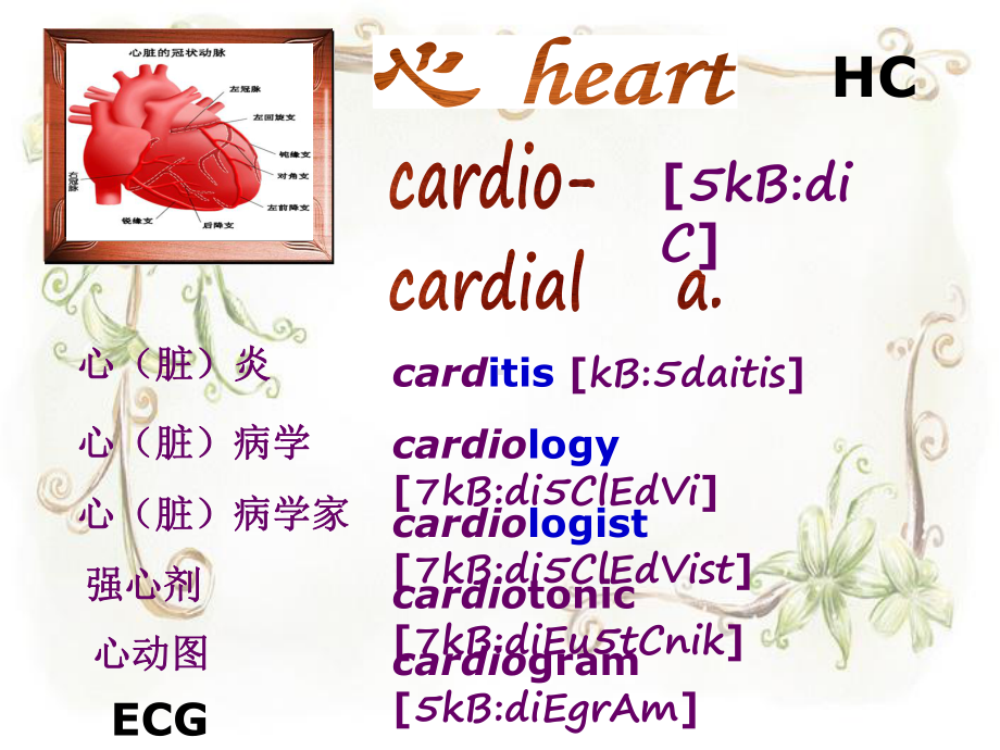 医学英语构词课件.ppt_第2页