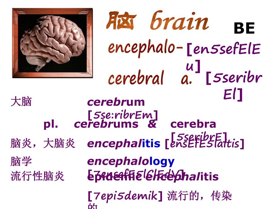 医学英语构词课件.ppt_第3页