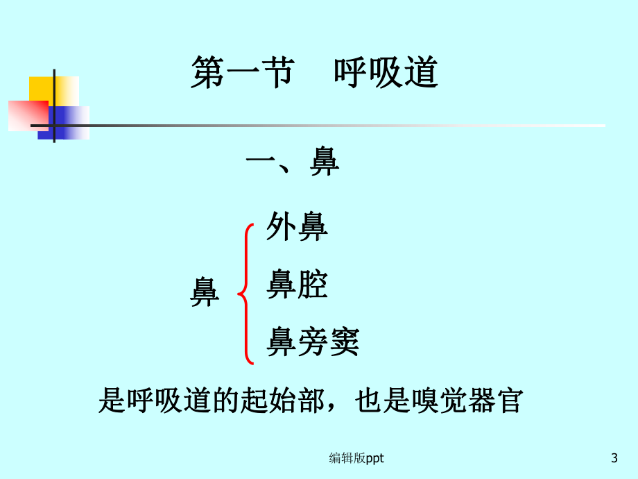 内脏学呼吸课件.ppt_第3页