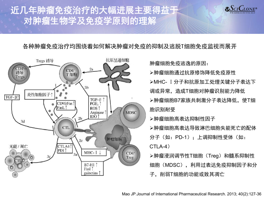 医学课件肿瘤免疫治疗新进展.ppt_第3页