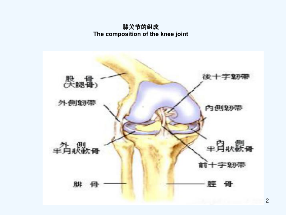 全膝关节置换术后护理课件.ppt_第2页