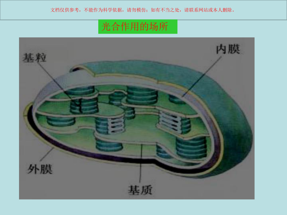 光合作用和呼吸作用的关系课件.ppt_第3页