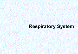 医学英语英文版讲课呼吸系统课件.ppt