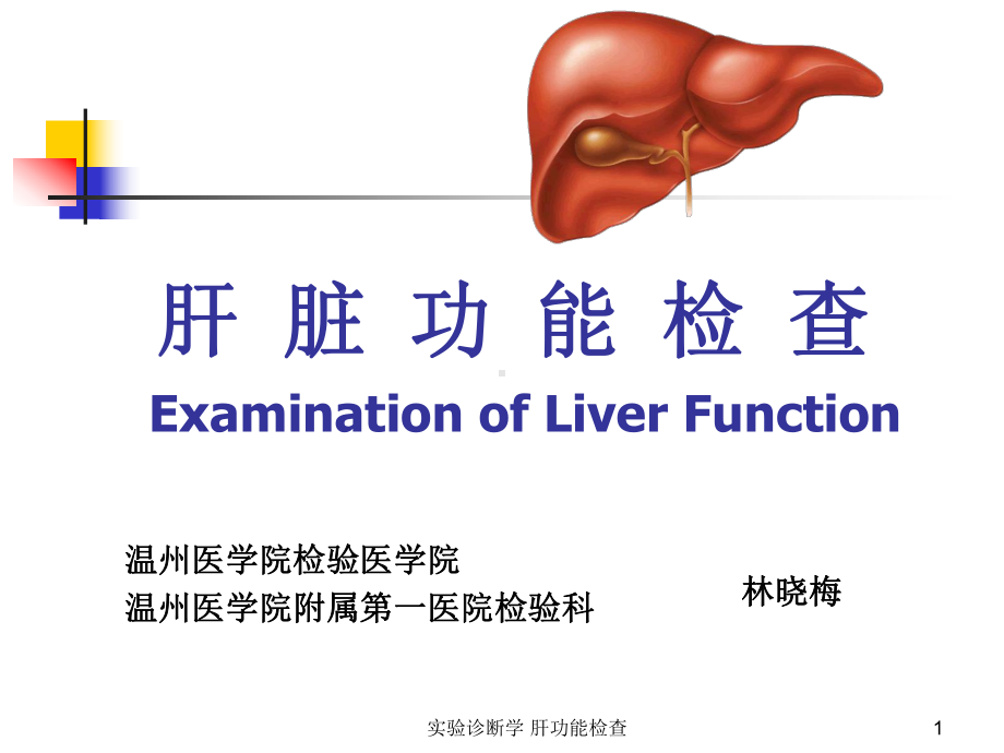 实验诊断学-肝功能检查课件.ppt_第1页