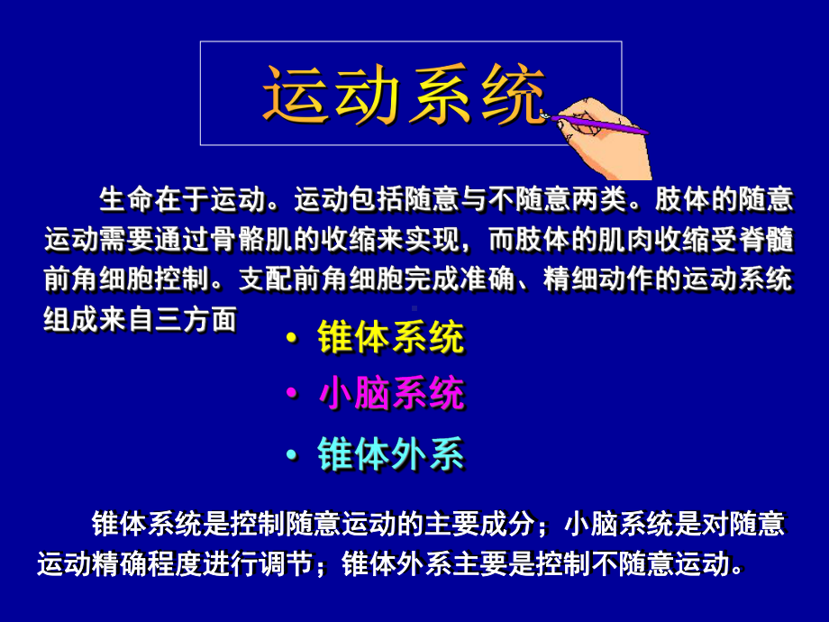 堆体束损害的常见综合征医学课件.ppt_第2页