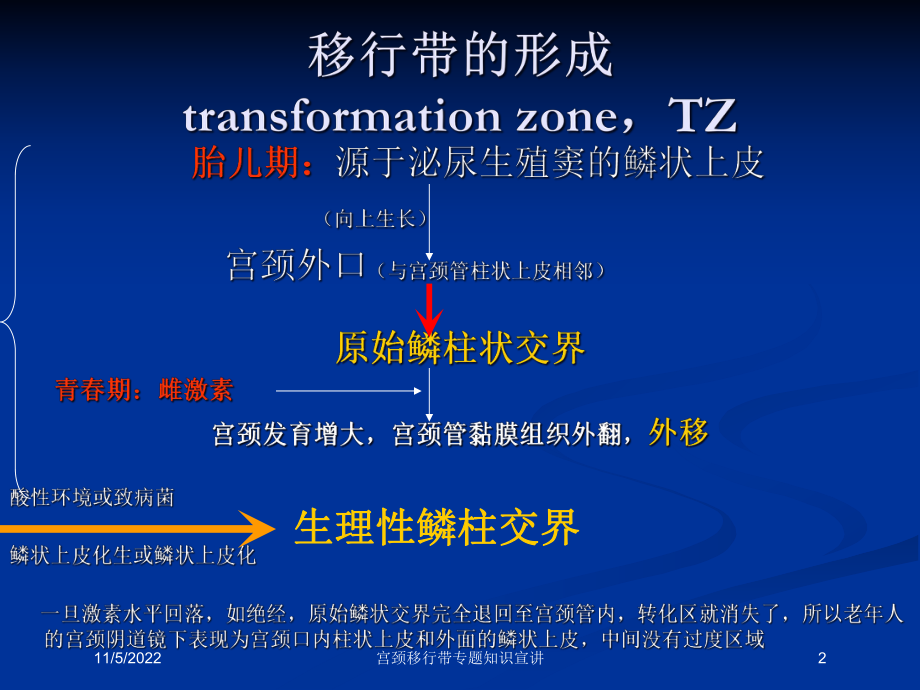 宫颈移行带专题知识宣讲培训课件.ppt_第2页