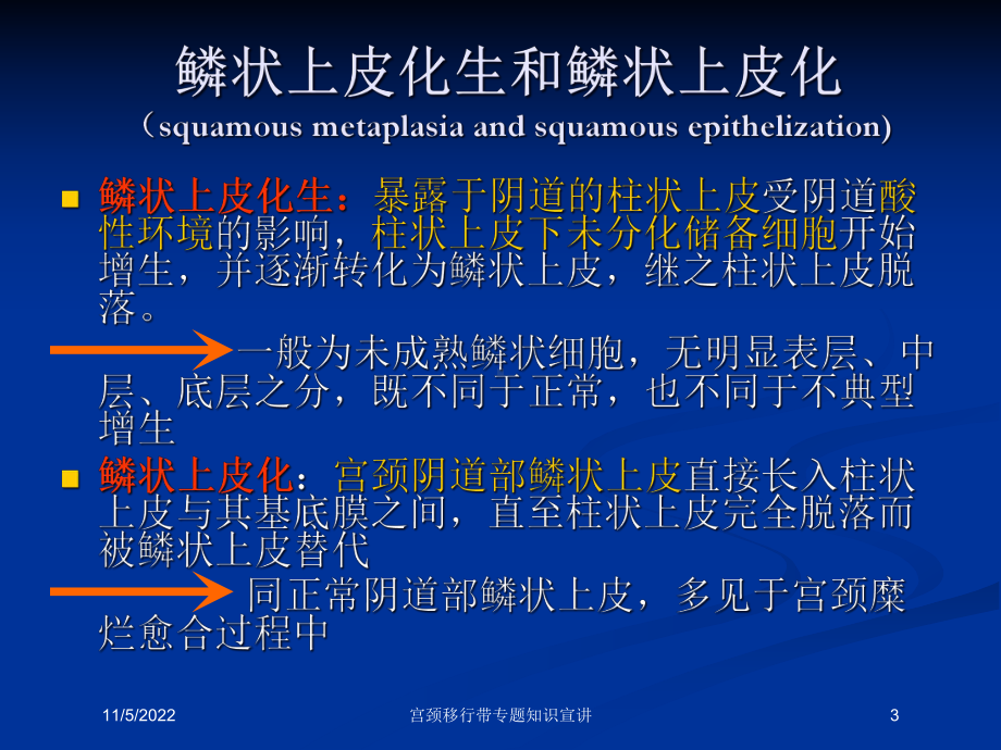 宫颈移行带专题知识宣讲培训课件.ppt_第3页