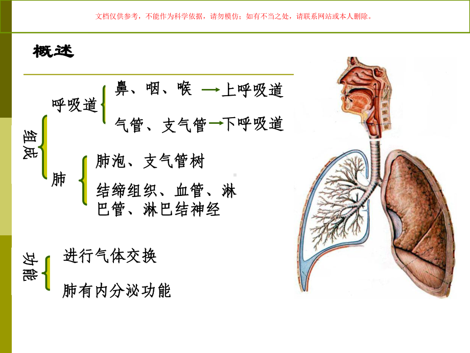 呼吸医学知识专题讲座培训课件.ppt_第1页