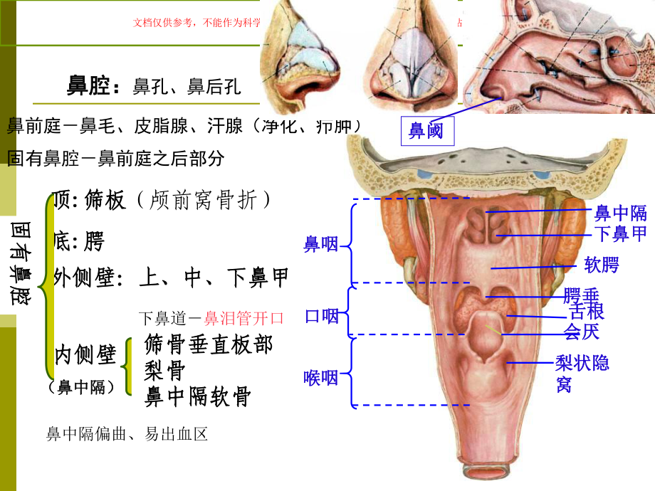 呼吸医学知识专题讲座培训课件.ppt_第3页