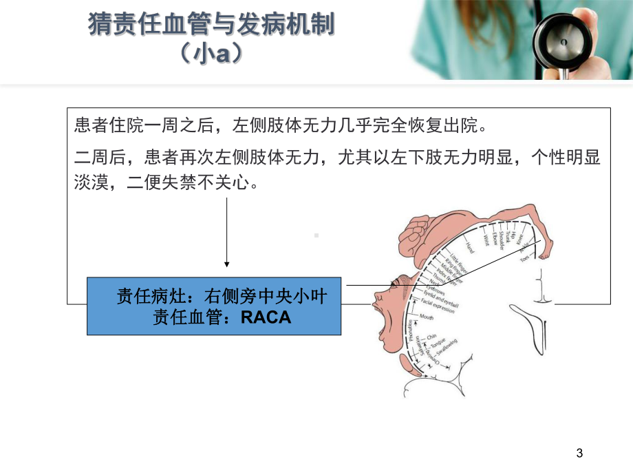 从影像学梗死部位推测责任供血血管教学课件.ppt_第3页