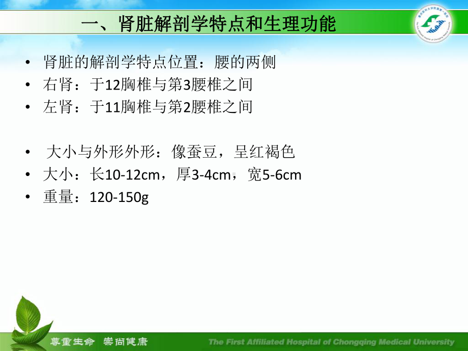 医学尿毒症的护理专题培训课件.ppt_第3页