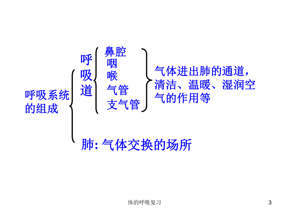 体的呼吸复习课件.ppt_第3页