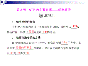 人教版必修1-ATP的主要来源-细胞呼吸-课件(52张).ppt