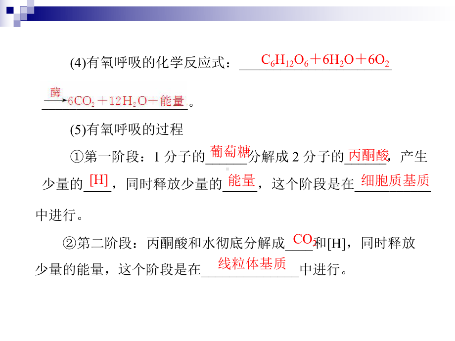 人教版必修1-ATP的主要来源-细胞呼吸-课件(52张).ppt_第3页