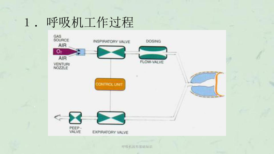 呼吸机波形基础知识课件.ppt_第3页