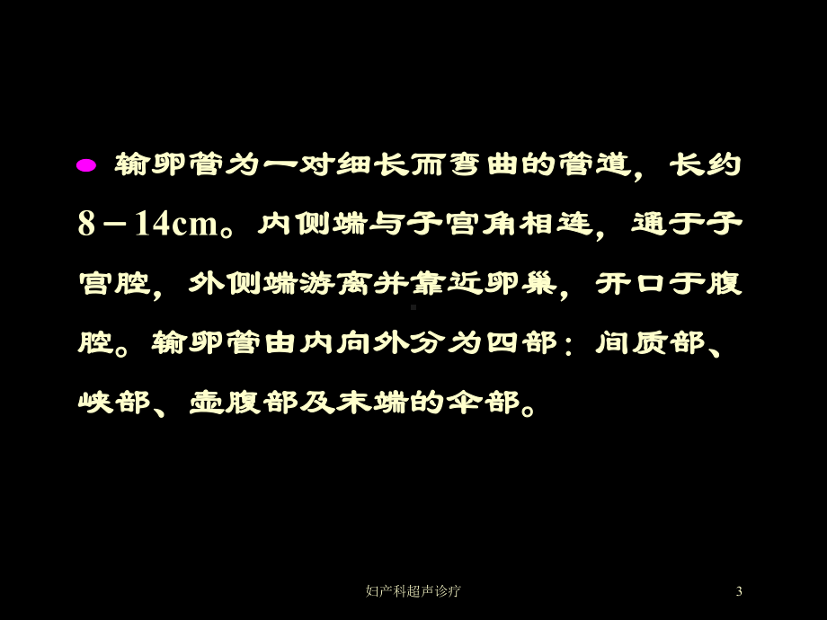 妇产科超声诊疗培训课件.ppt_第3页