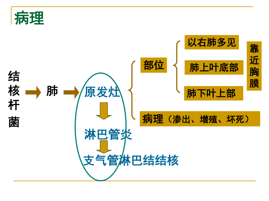 儿科学课件原发型肺结核.ppt_第3页