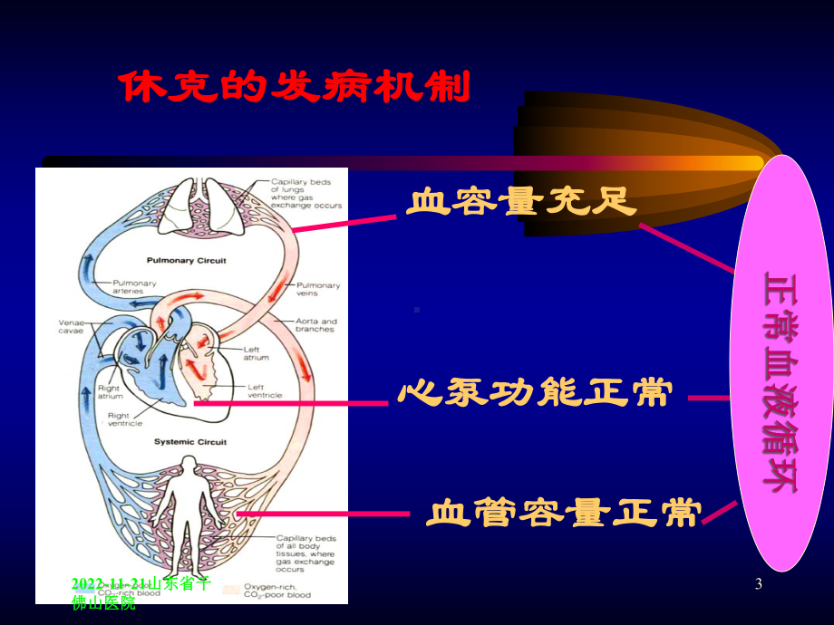 休克与循环监测教材课件.ppt_第3页