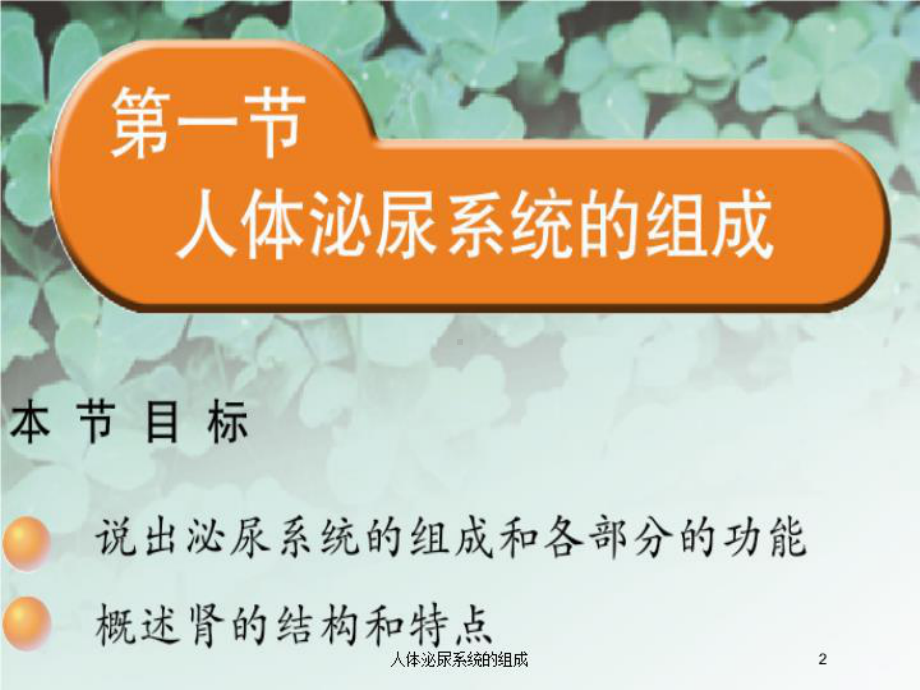 人体泌尿系统的组成培训课件.ppt_第2页